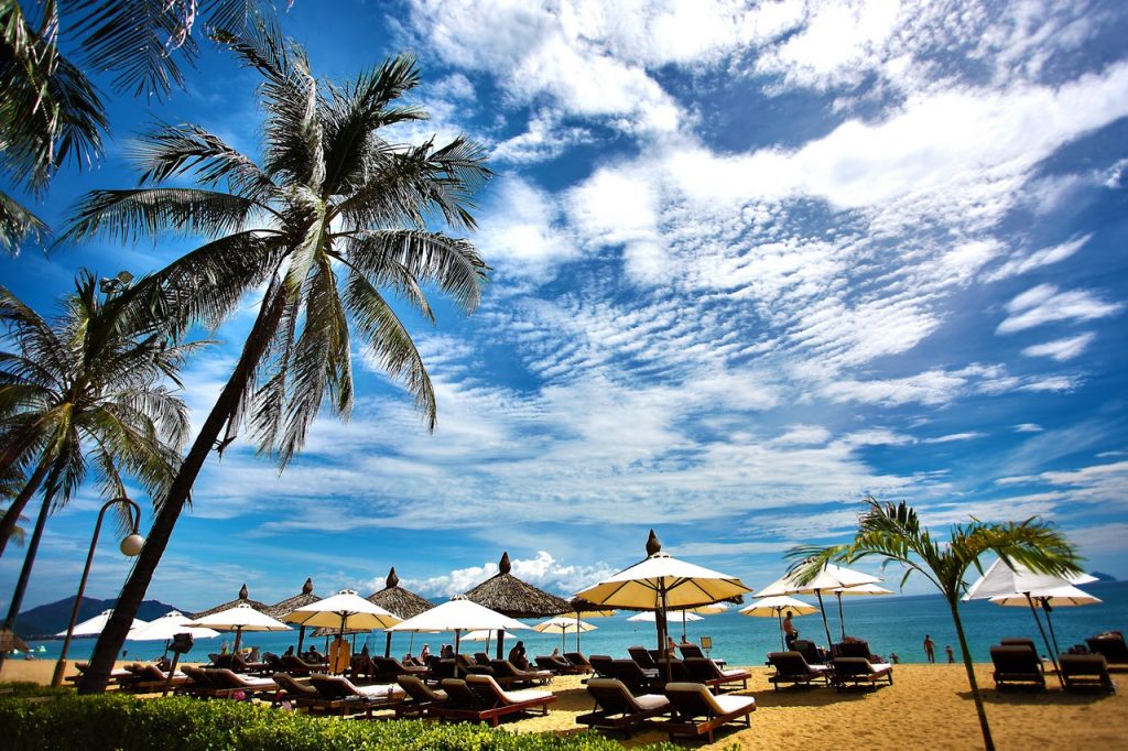 het strand van Brazilië met palmboom