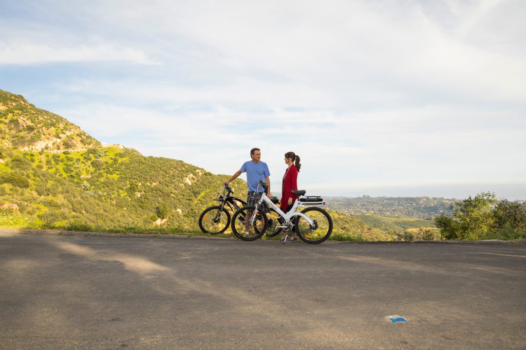 elektrische fiets